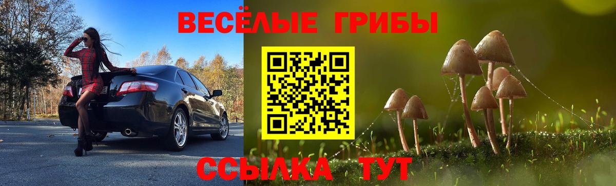 Псилоцибиновые грибы MAGIC MUSHROOMS  Вход с VPN  наркошоп  Новый Уренгой  Псилоцибиновые грибы Psilocybine cubensis 